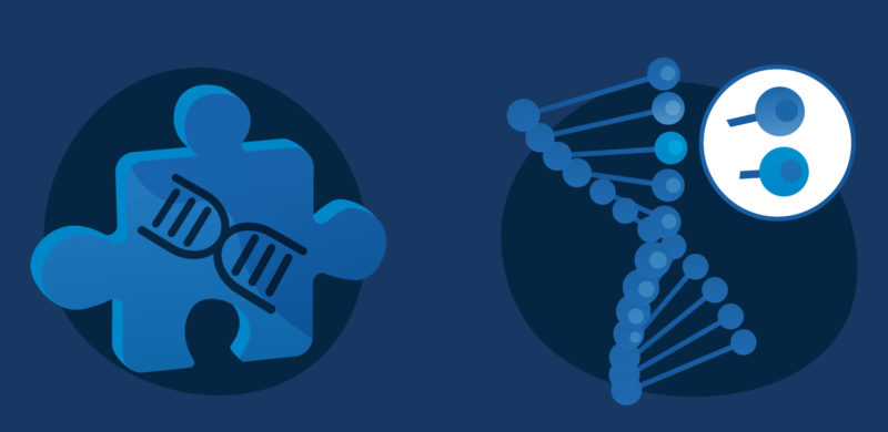 DNA-tråd på en puslespillbrikke, samt en DNA-sekvens. Blåtoner. Illustrasjon.