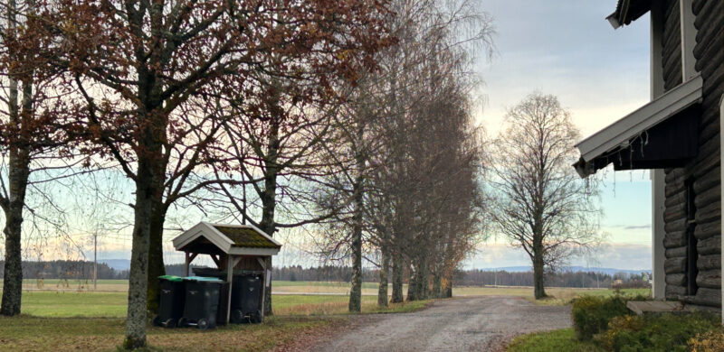 Allèen inn til Refsum Allèen inn til Refsum