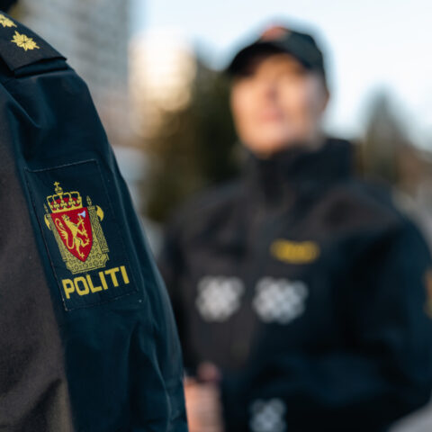 Lenke til artikkel om Samfunnet taper på svekket politi