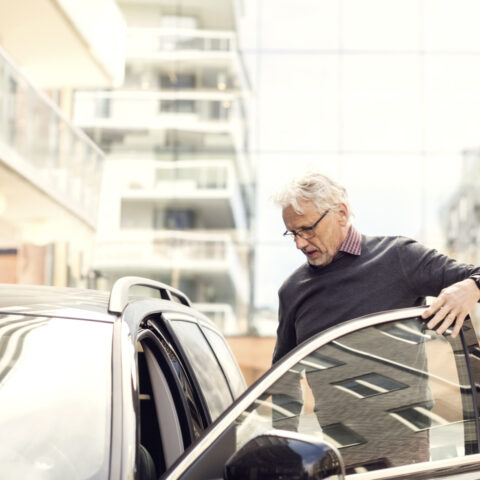 Lenke til artikkel om Trygg transport hvor enn vi ferdes