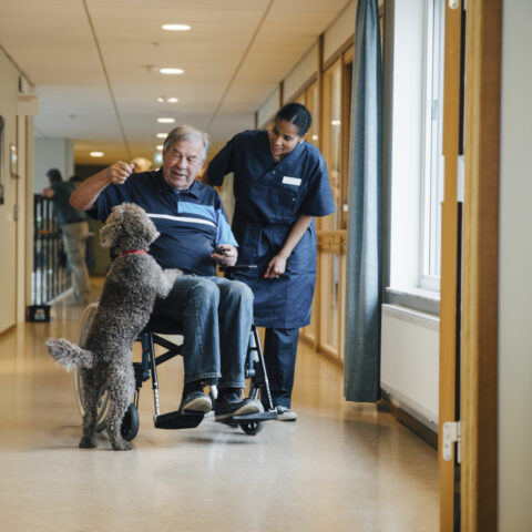 Lenke til artikkel om Du skal få velge helse- og omsorgstjenester selv